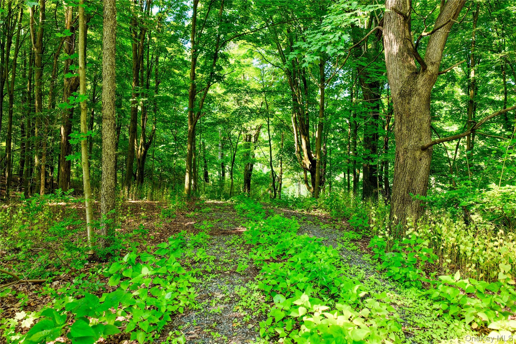 2620 State Route 9H – For Sale photo 18