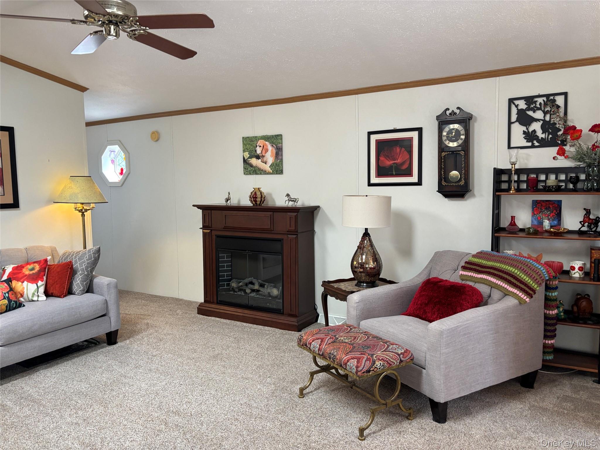 1661 Old Country Road, Unit 180 photo 8