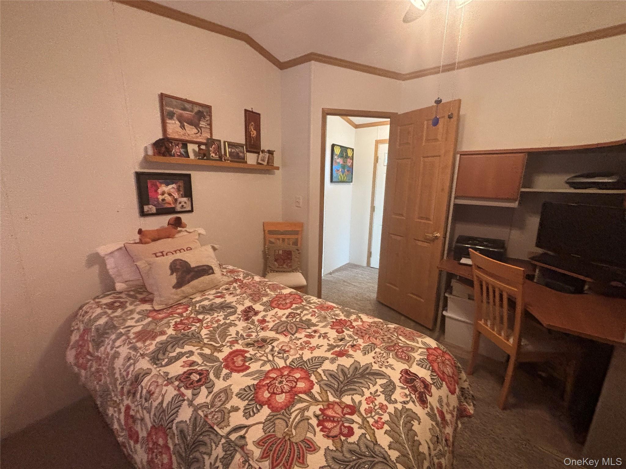 1661 Old Country Road, Unit 180 photo 23
