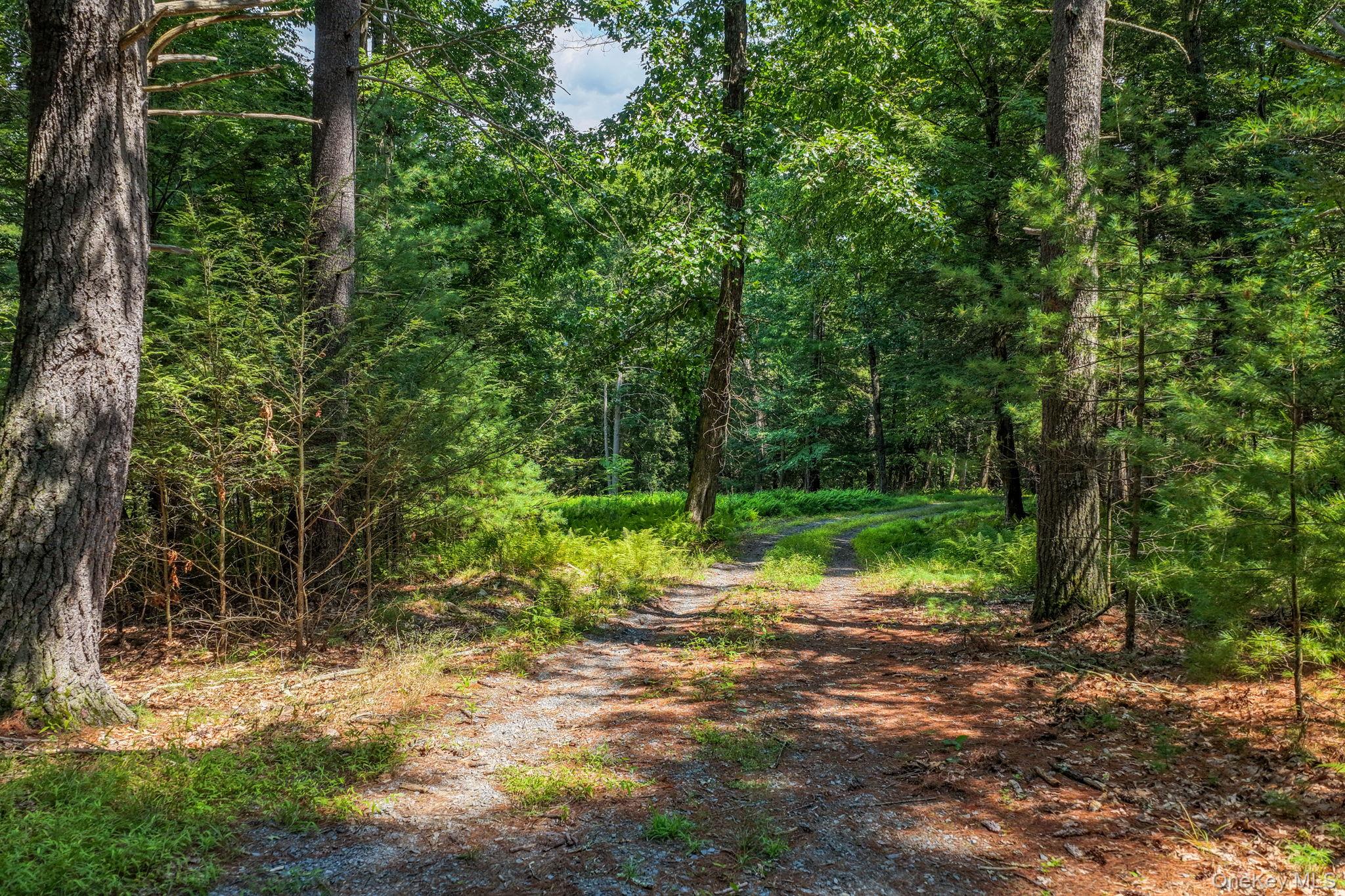 Lot 55.1 Swanerbury Road – For Sale photo 2