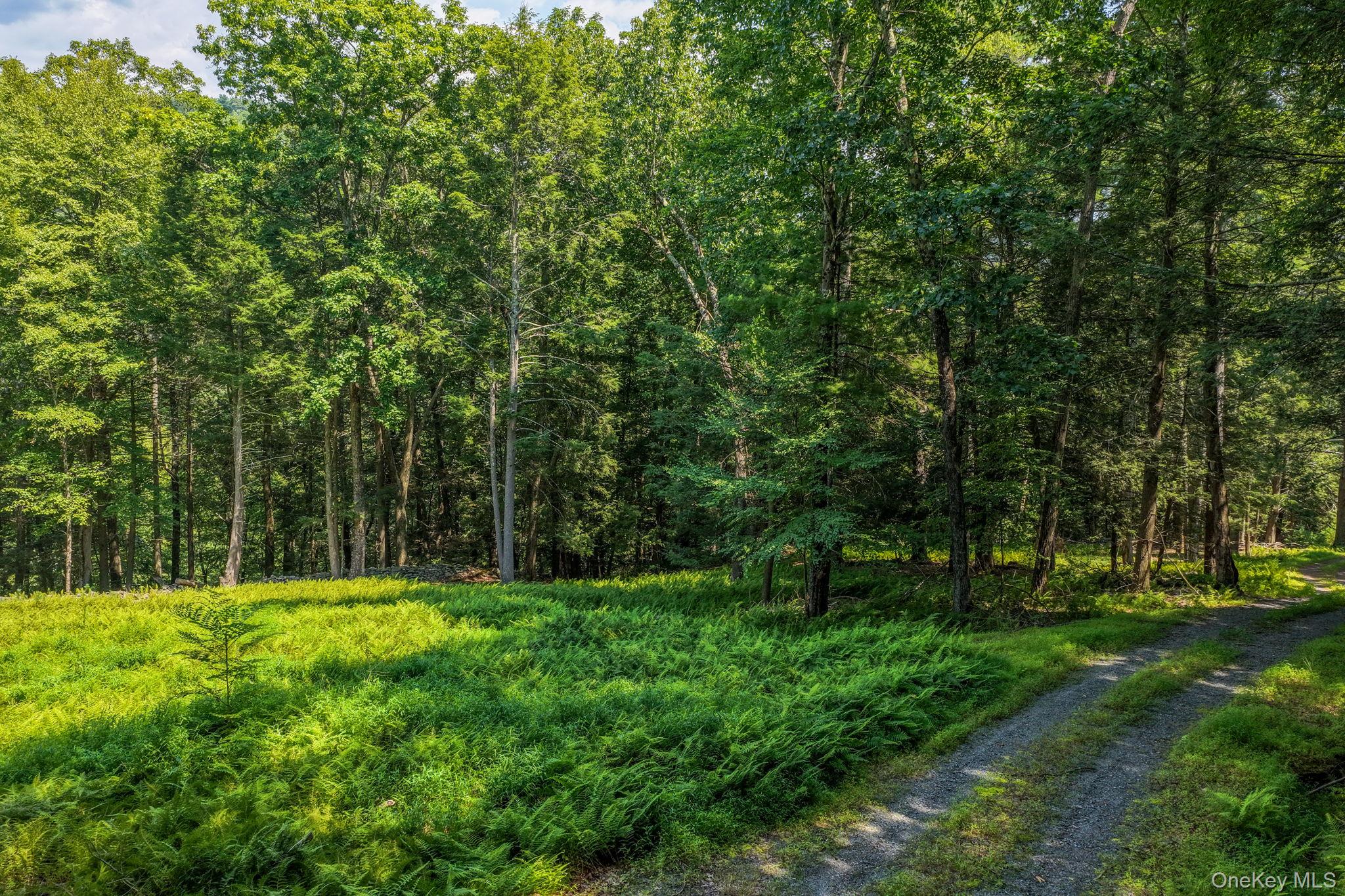 Lot 55.1 Swanerbury Road – For Sale photo 8