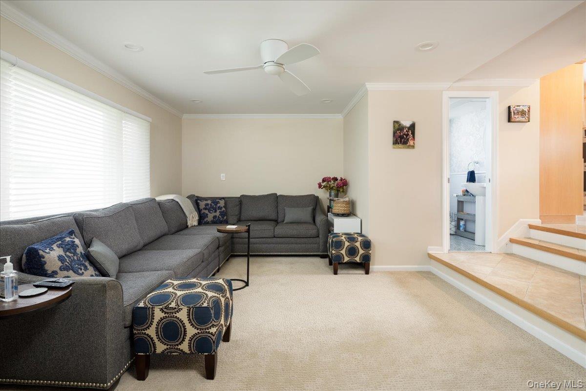 19 Jerold Street – For Sale photo 6