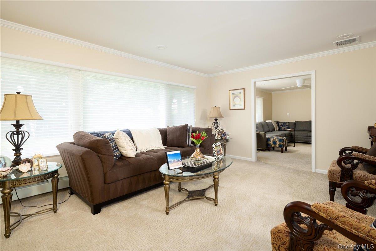 19 Jerold Street – For Sale photo 5