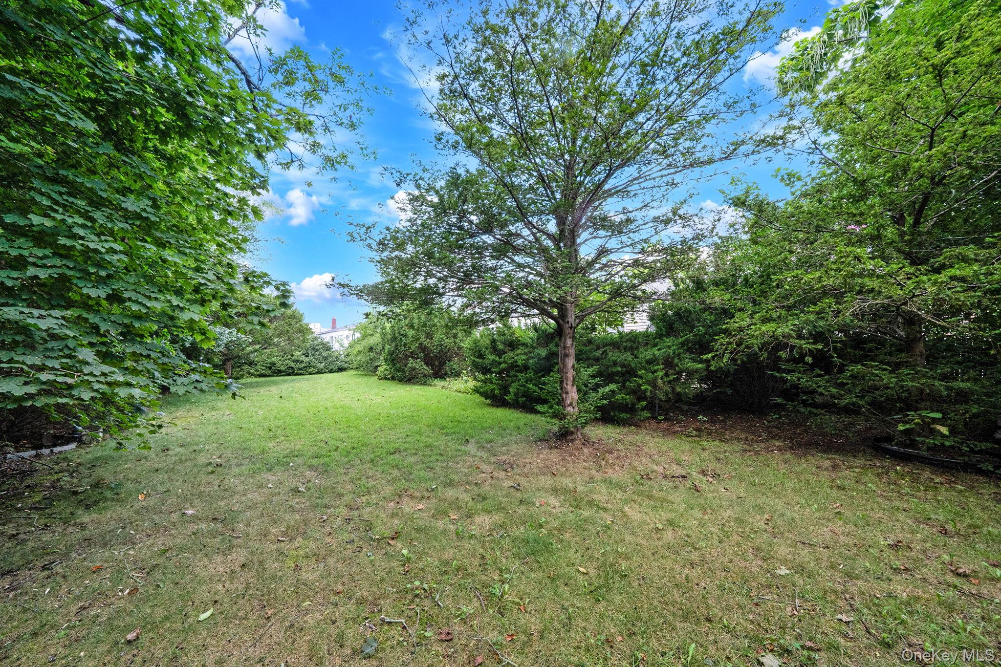 18 Wilson Street – For Sale photo 8