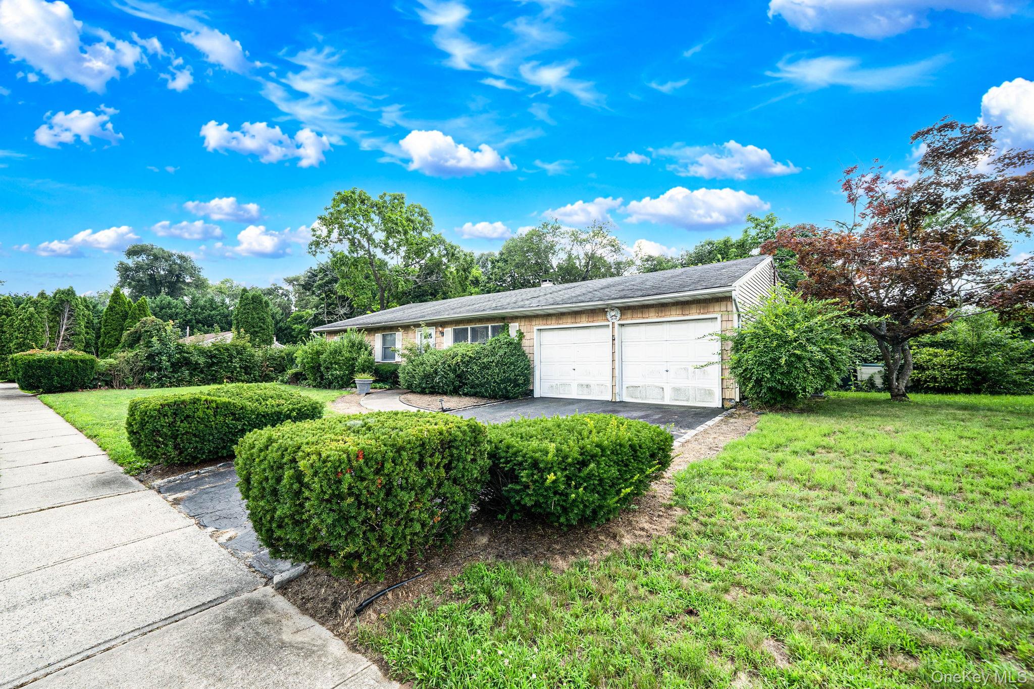 18 Wilson Street – For Sale photo 4
