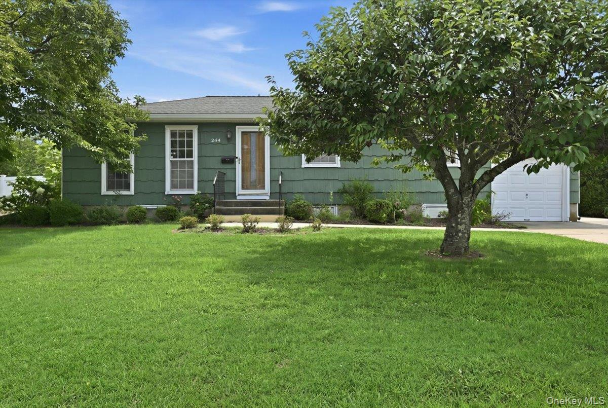244 Neptune Avenue – For Sale photo 3