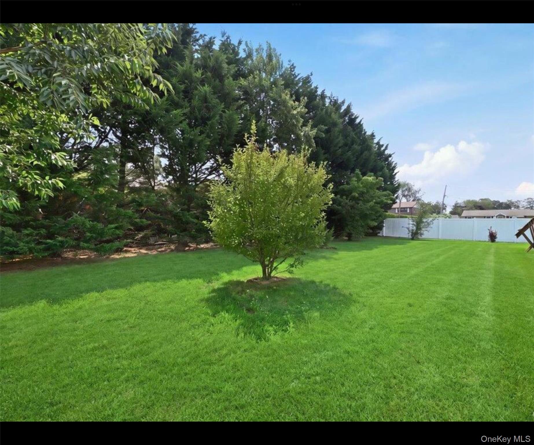 244 Neptune Avenue – For Sale