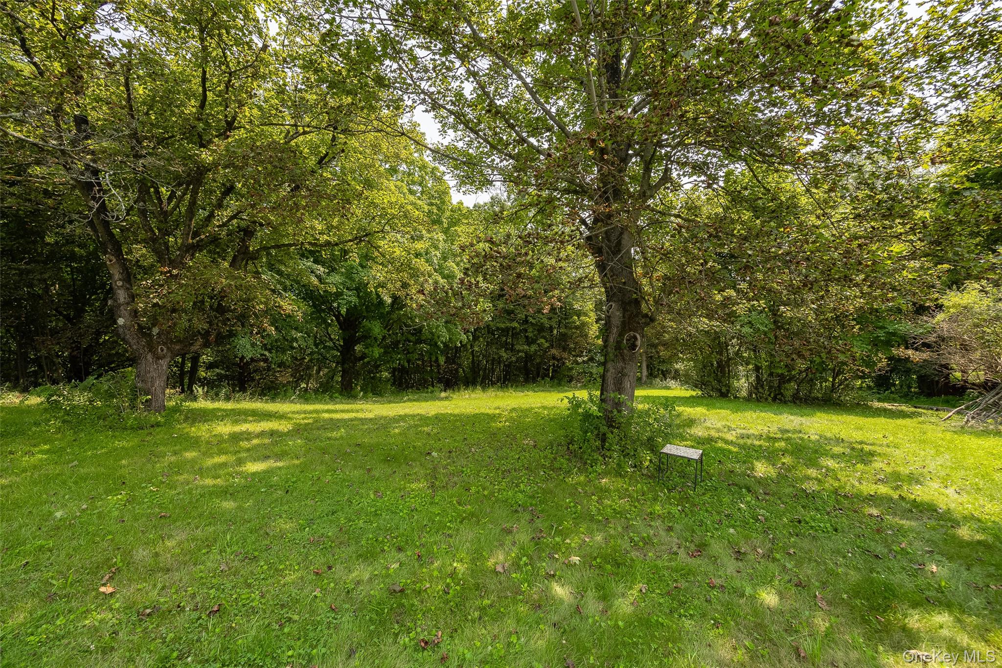 216 Hobbs Lane, Unit B photo 23