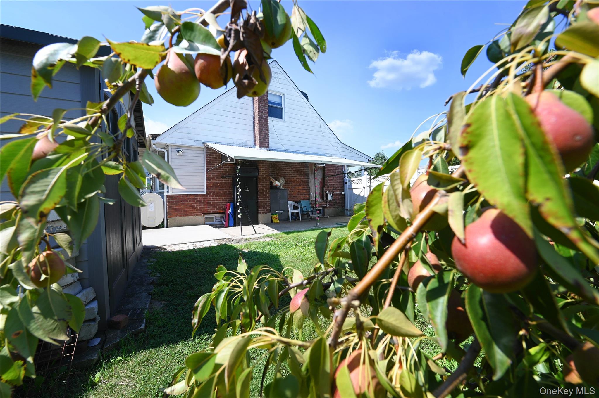 1 Douglas Drive – For Sale photo 19