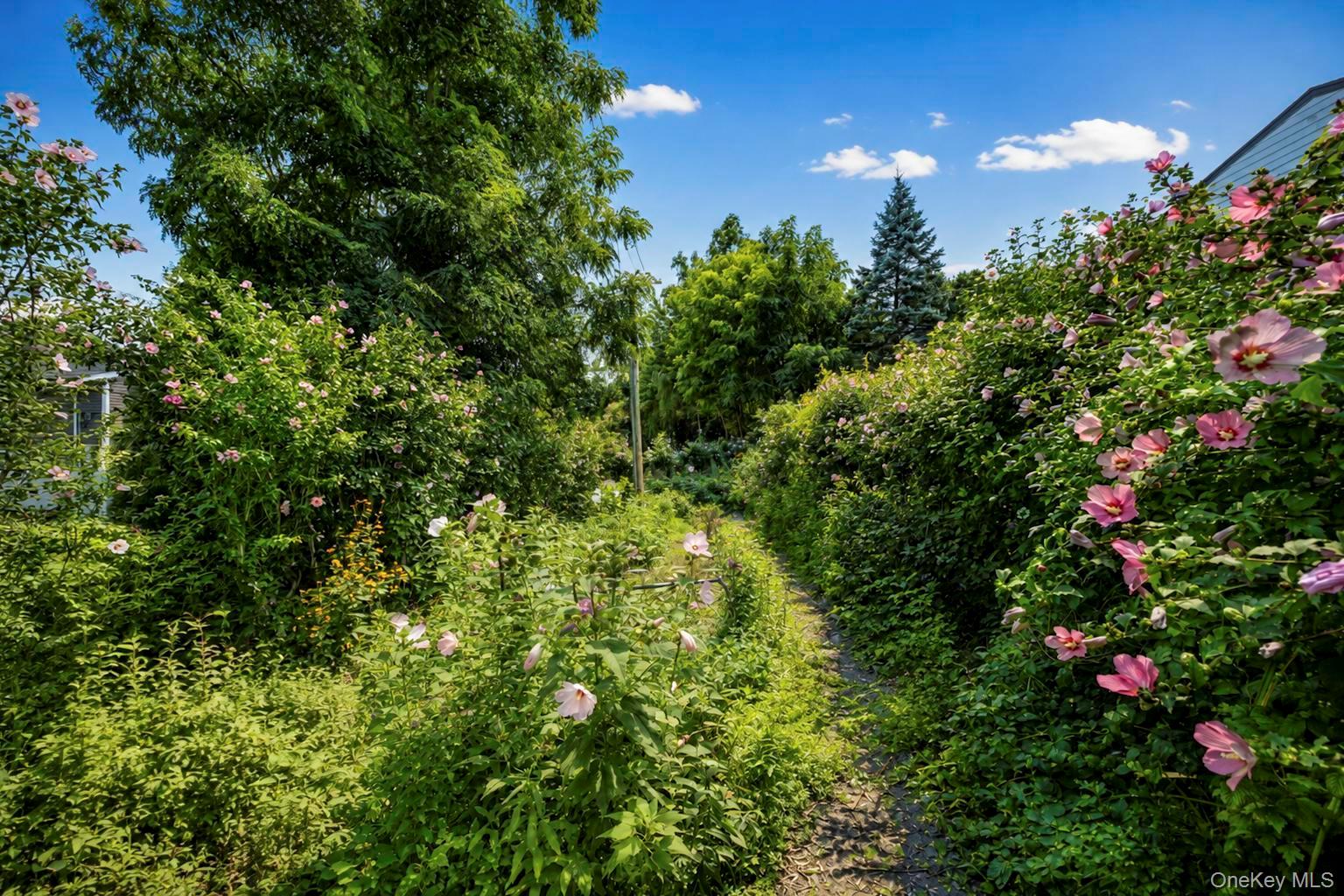 172 Lawrence Road – For Sale photo 46
