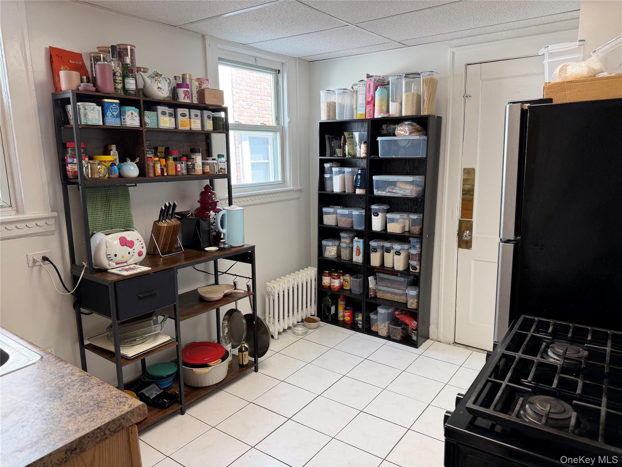 527 W Beech Street, Unit 1 photo 2