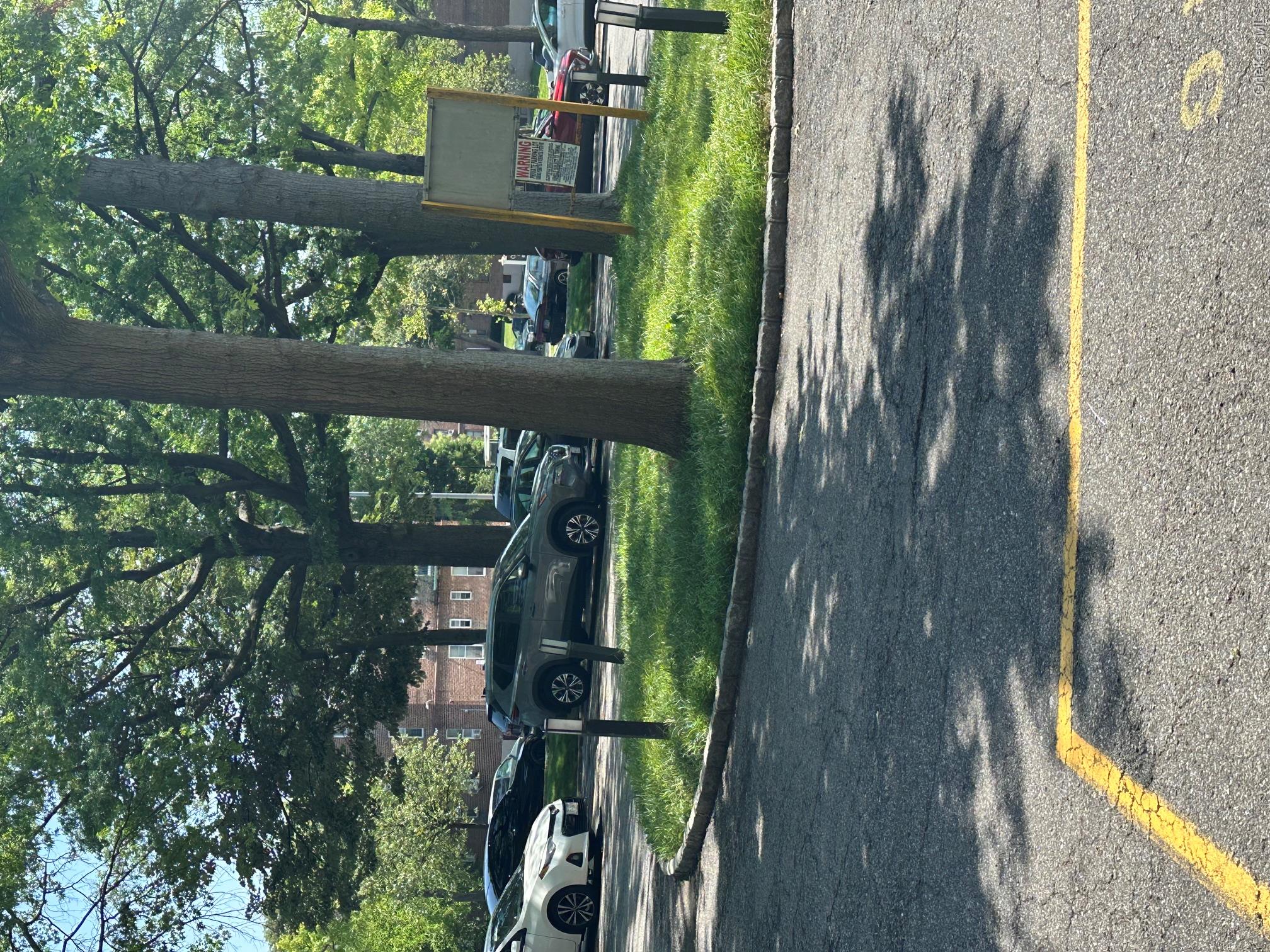 86-70 Francis Lewis Boulevard, Unit B65 photo 4