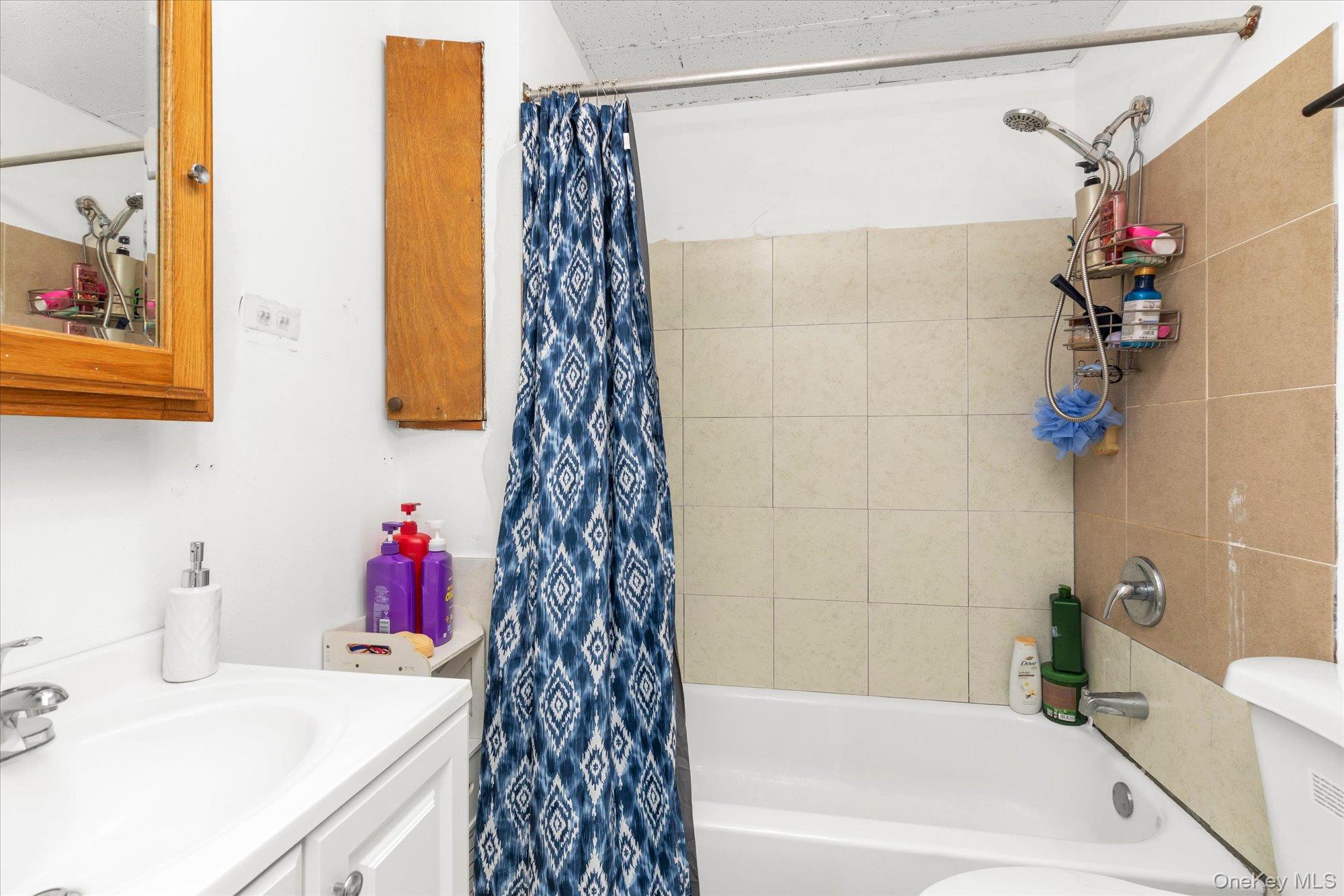 343 Roslyn Avenue – For Sale photo 17