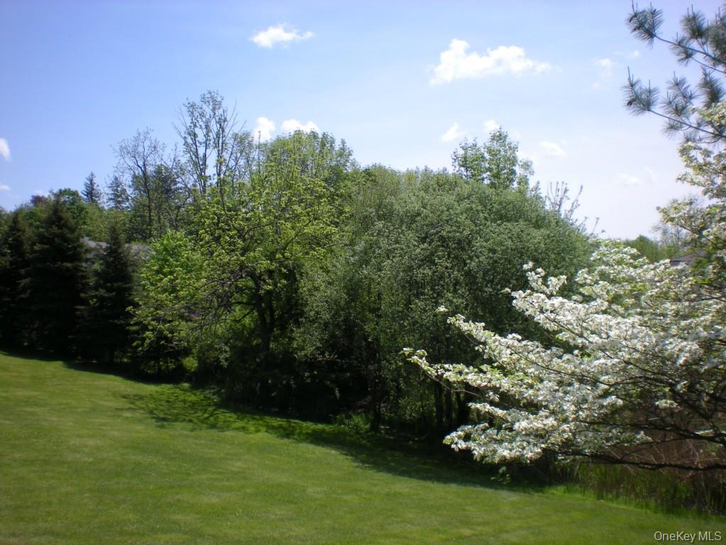 6 Dickson Lane – For Rent photo 25
