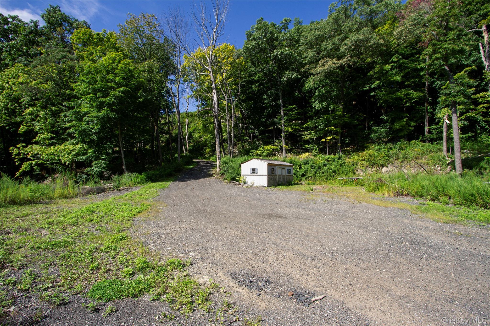 229 Mount Zion Road – For Sale photo 4
