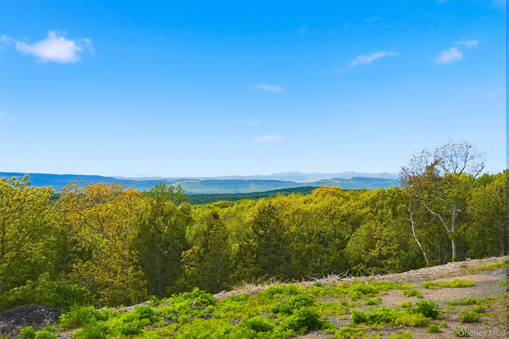 229 Mount Zion Road – For Sale photo 23