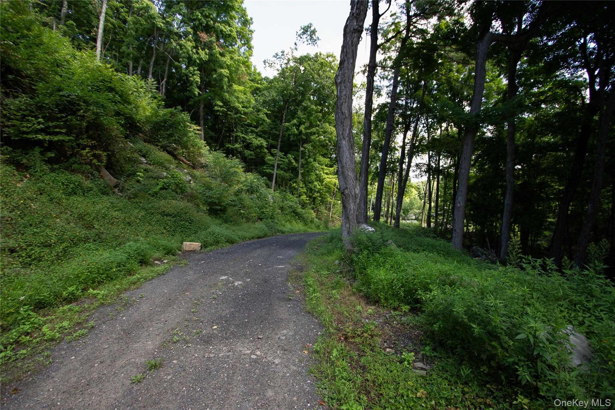 229 Mount Zion Road – For Sale photo 7