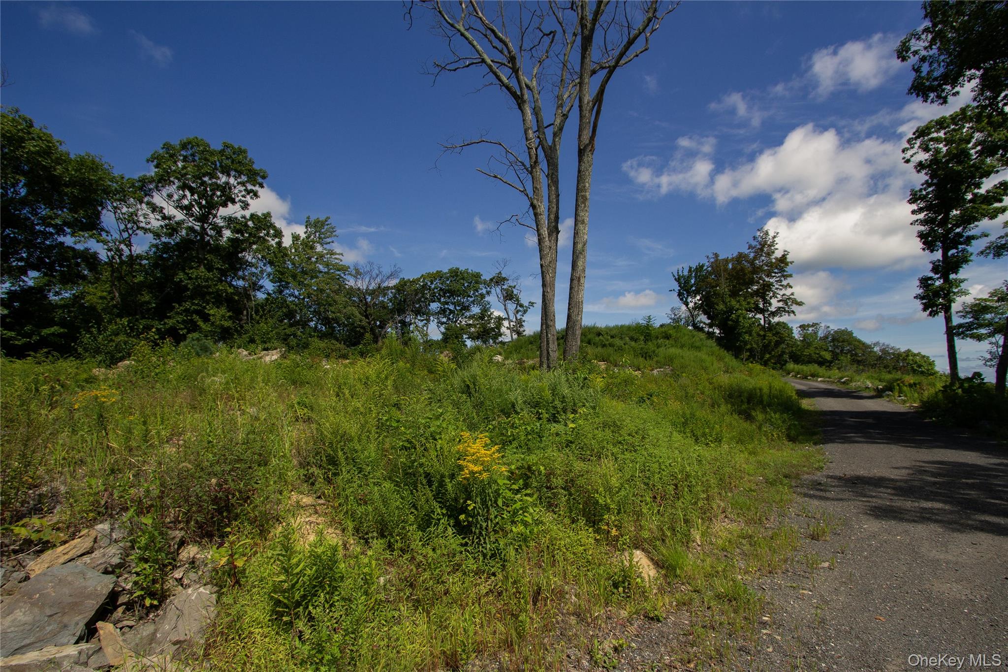 229 Mount Zion Road – For Sale photo 11