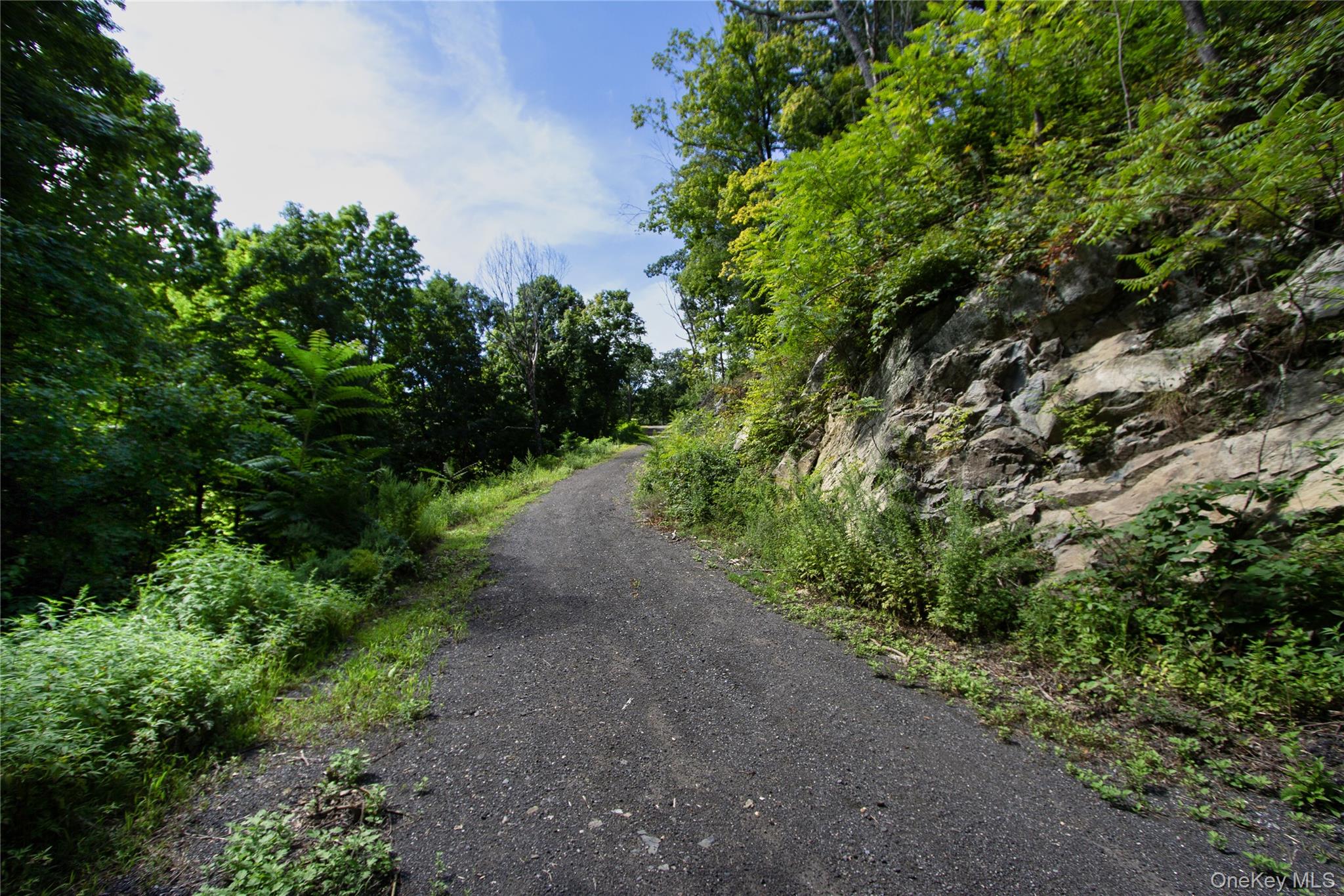 229 Mount Zion Road – For Sale photo 9