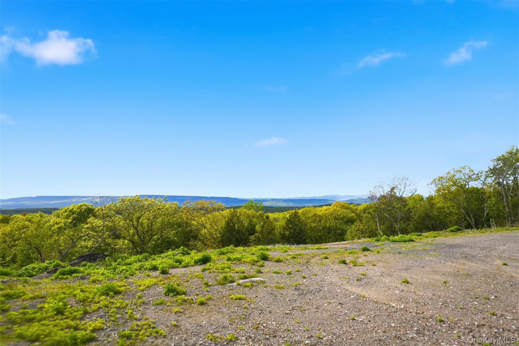 229 Mount Zion Road – For Sale photo 27