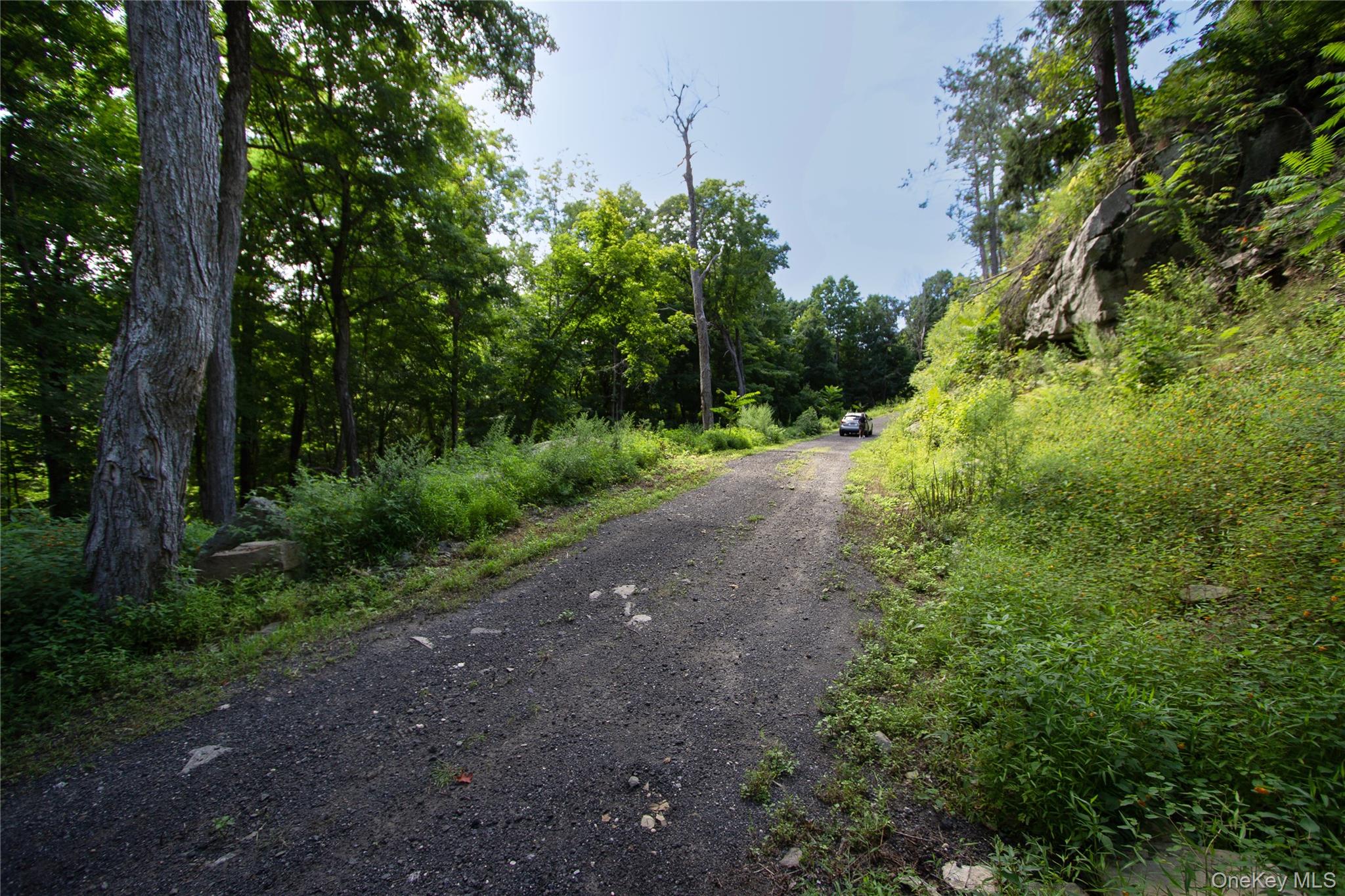 229 Mount Zion Road – For Sale photo 8