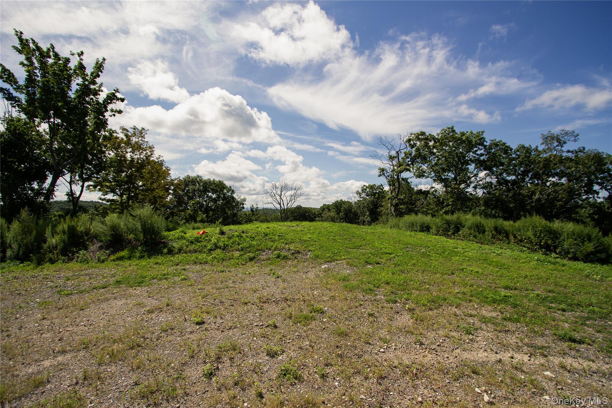 229 Mount Zion Road – For Sale photo 15