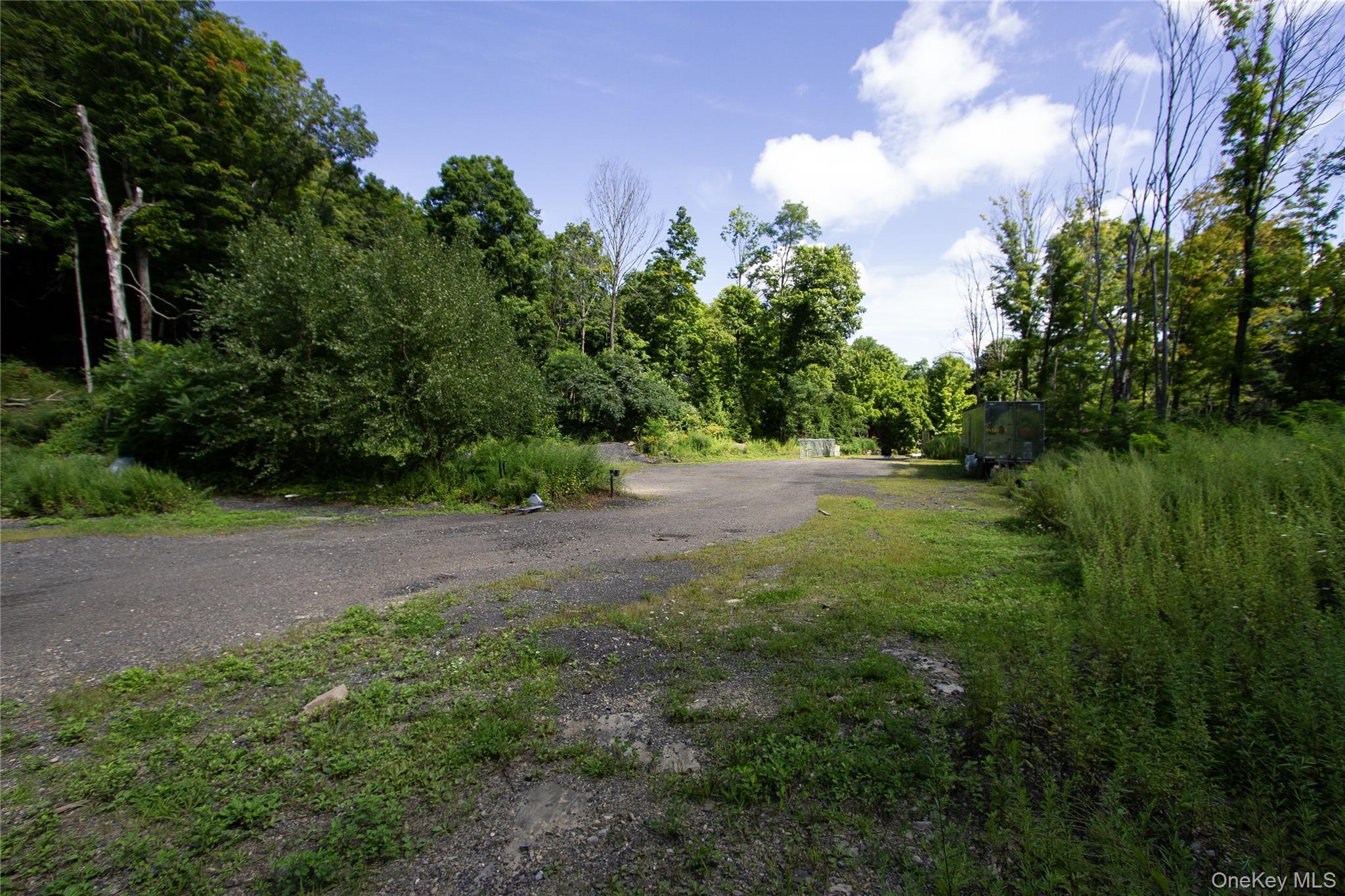 229 Mount Zion Road – For Sale photo 6