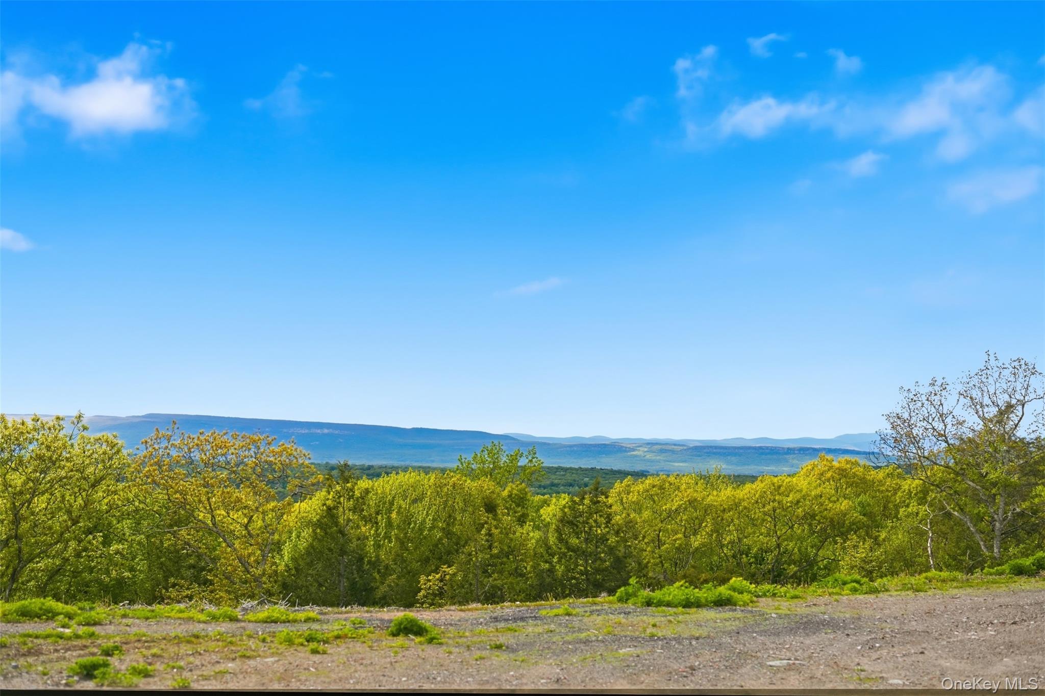 229 Mount Zion Road – For Sale photo 22