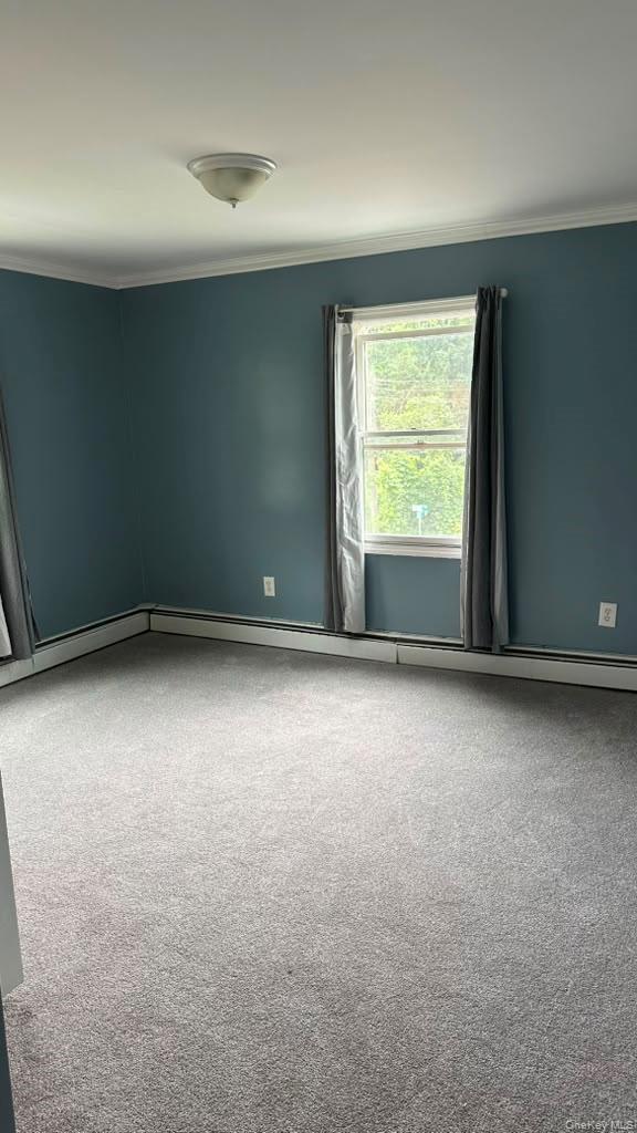 24 Rome Avenue, Unit 2 photo 5