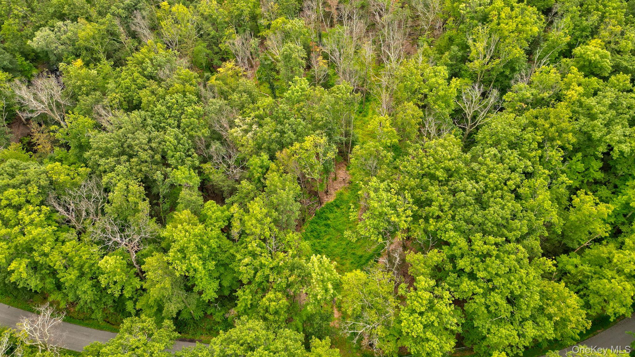 Lot 1 Pantelop Road – For Sale photo 2