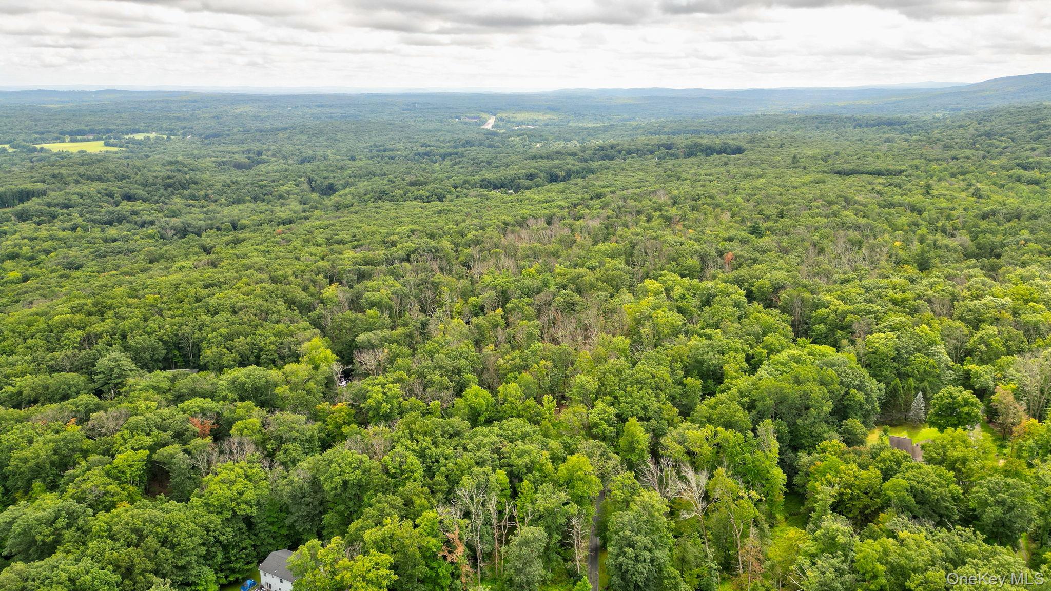 Lot 1 Pantelop Road – For Sale photo 3