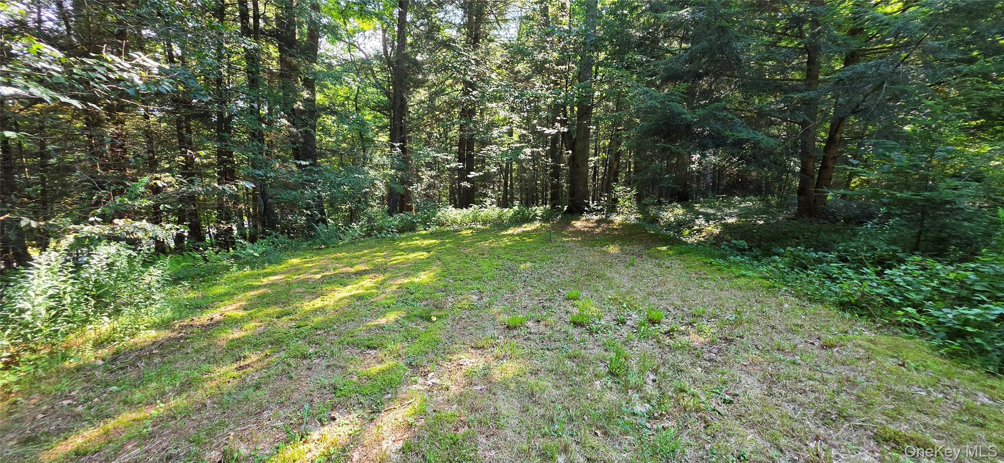 7606 NYS 52 – For Sale photo 17