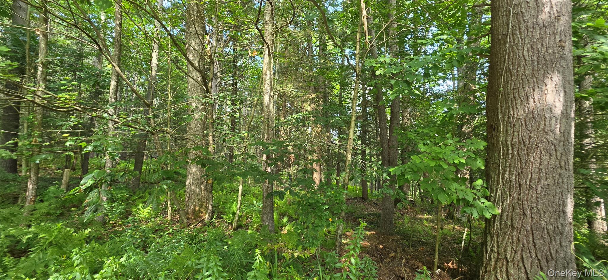 7606 NYS 52 – For Sale photo 8