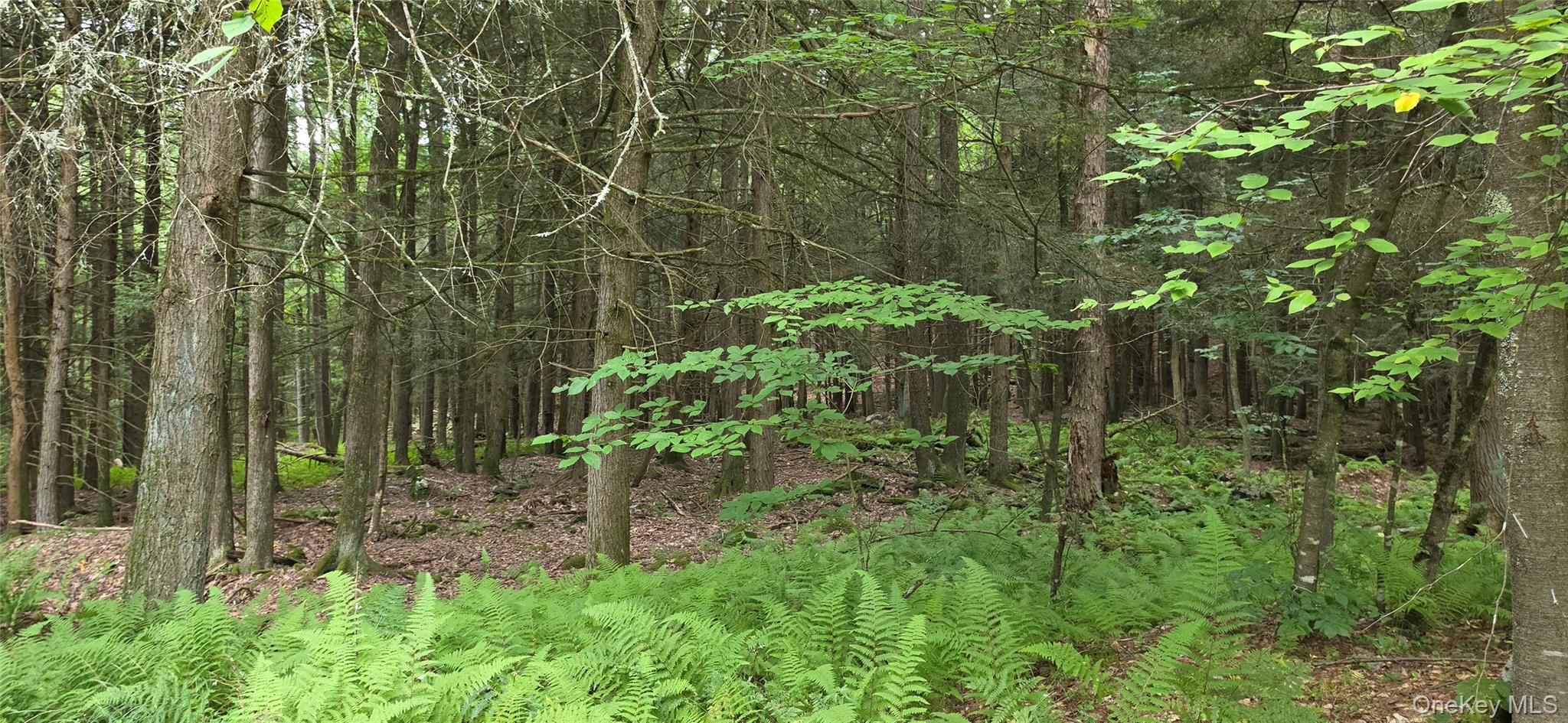 Lot 6 NYS 52 – For Sale photo 3