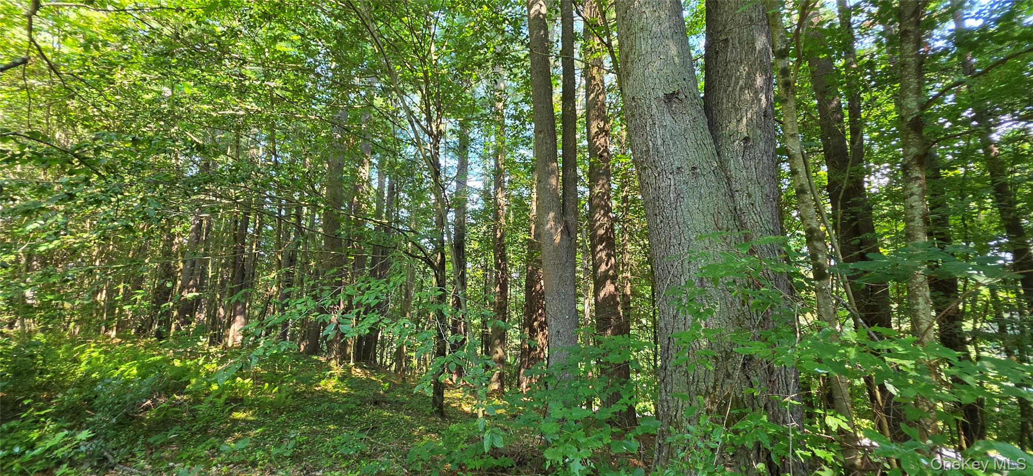 Lot 6 NYS 52 – For Sale photo 5