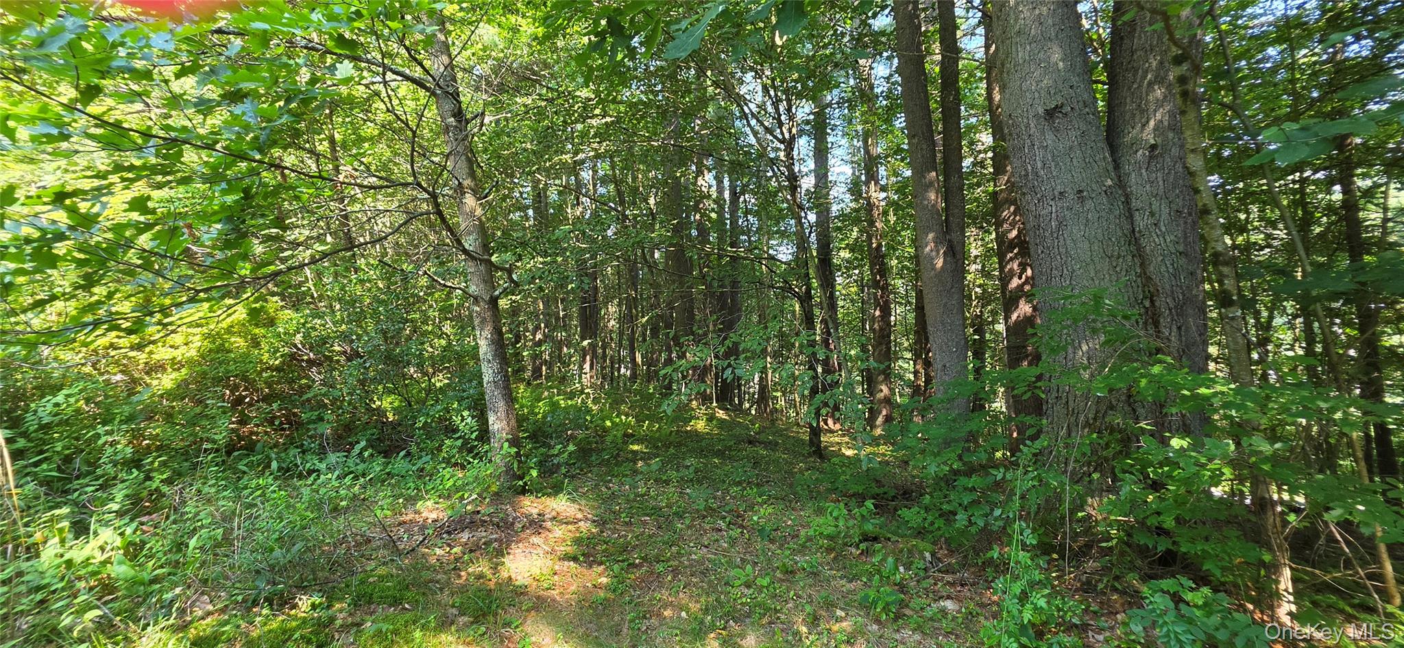 Lot 6 NYS 52 – For Sale photo 4