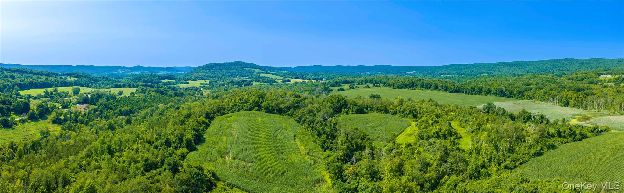 5246 Route 22 – For Sale photo 8