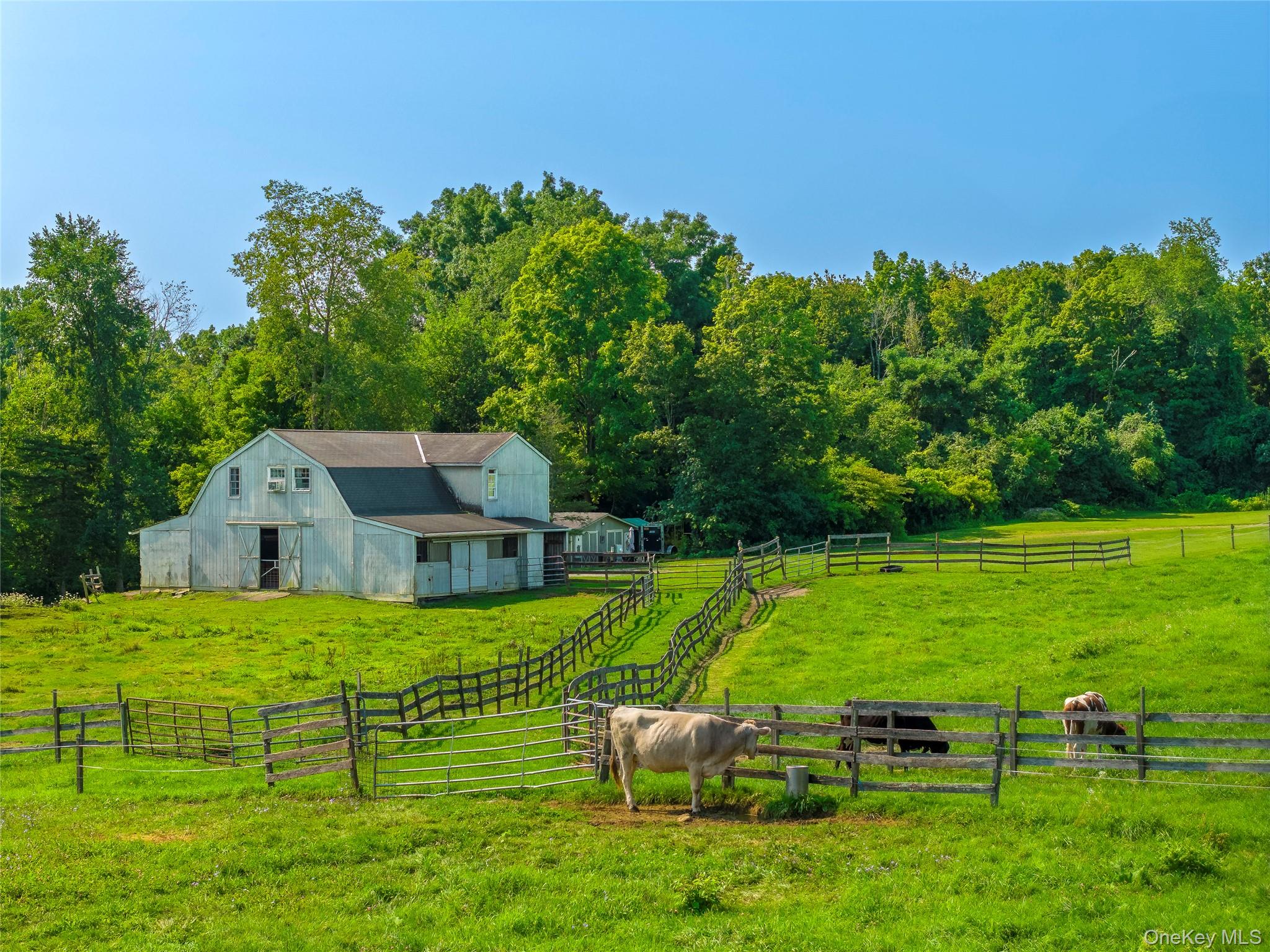 5246 Route 22 – For Sale photo 16