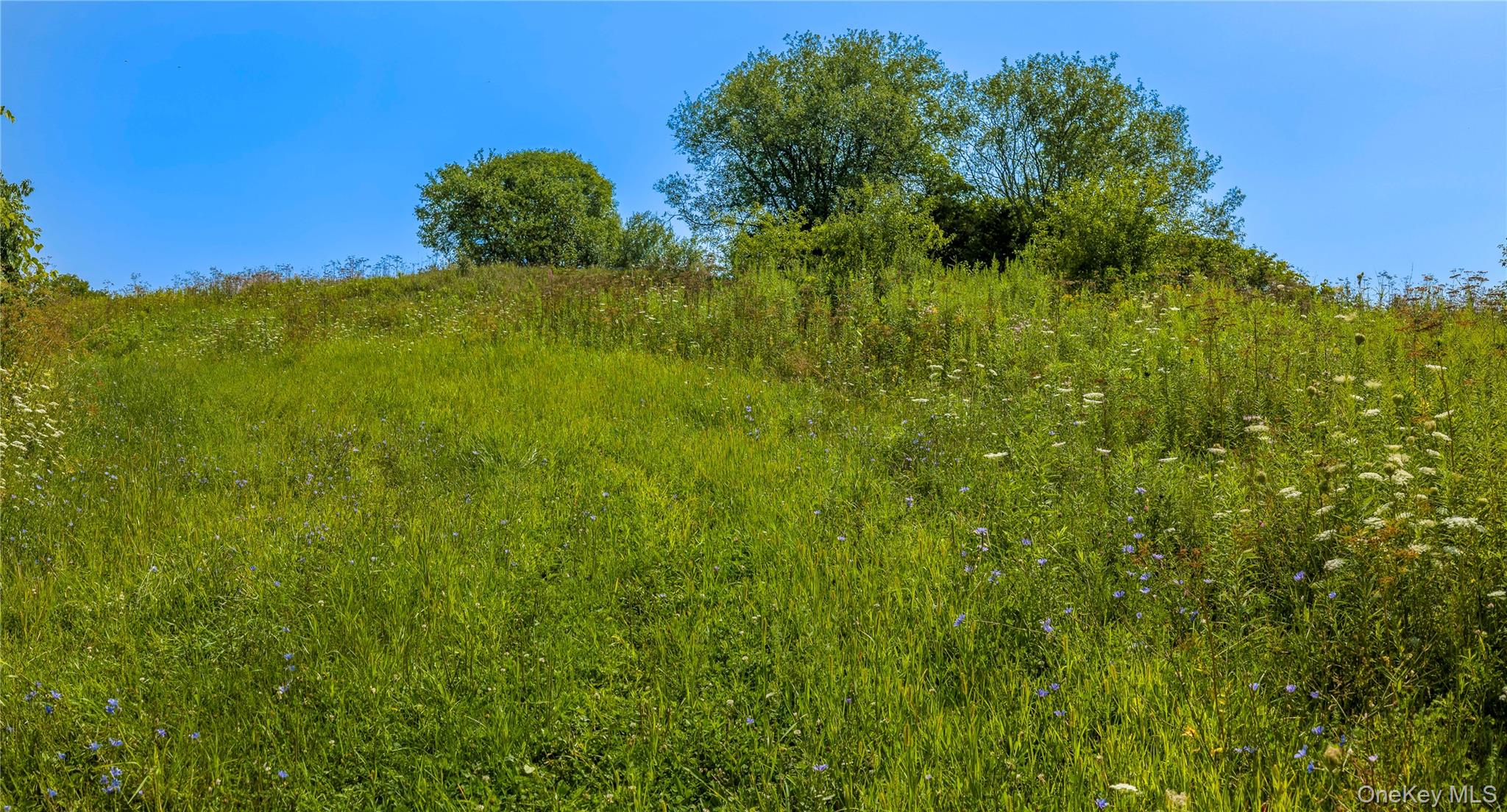 5246 Route 22 – For Sale photo 12