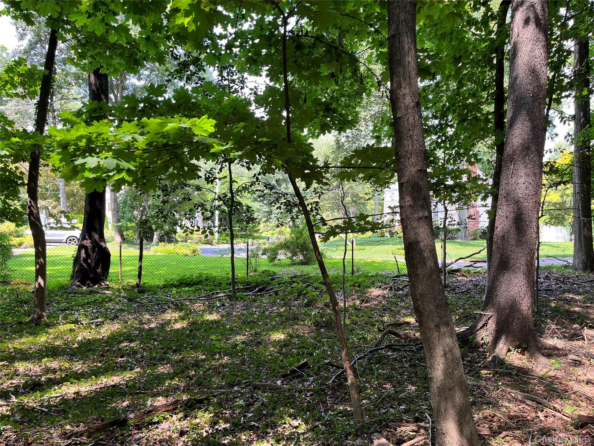 Forest Avenue – For Sale