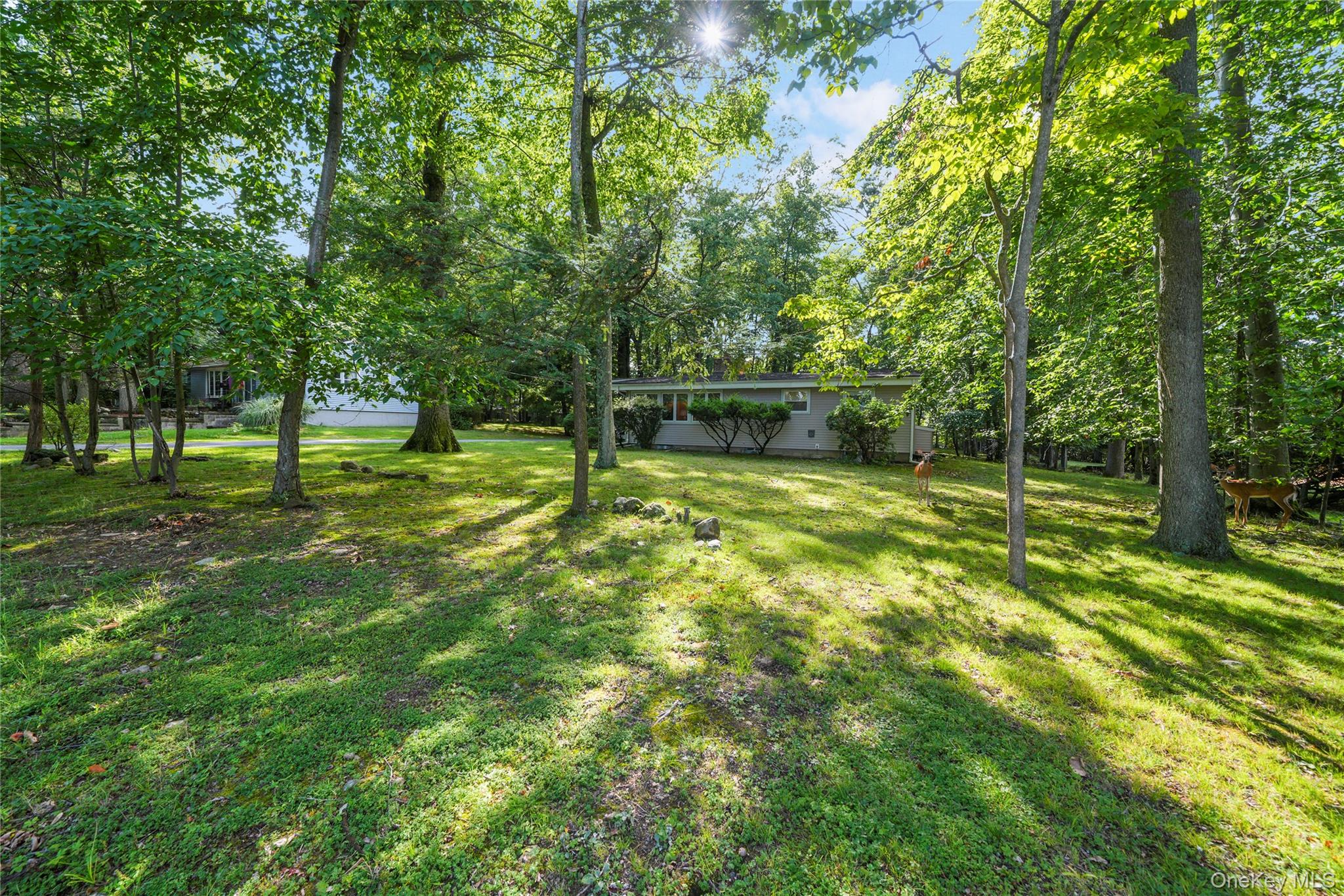 29 Fay Road – For Sale photo 38