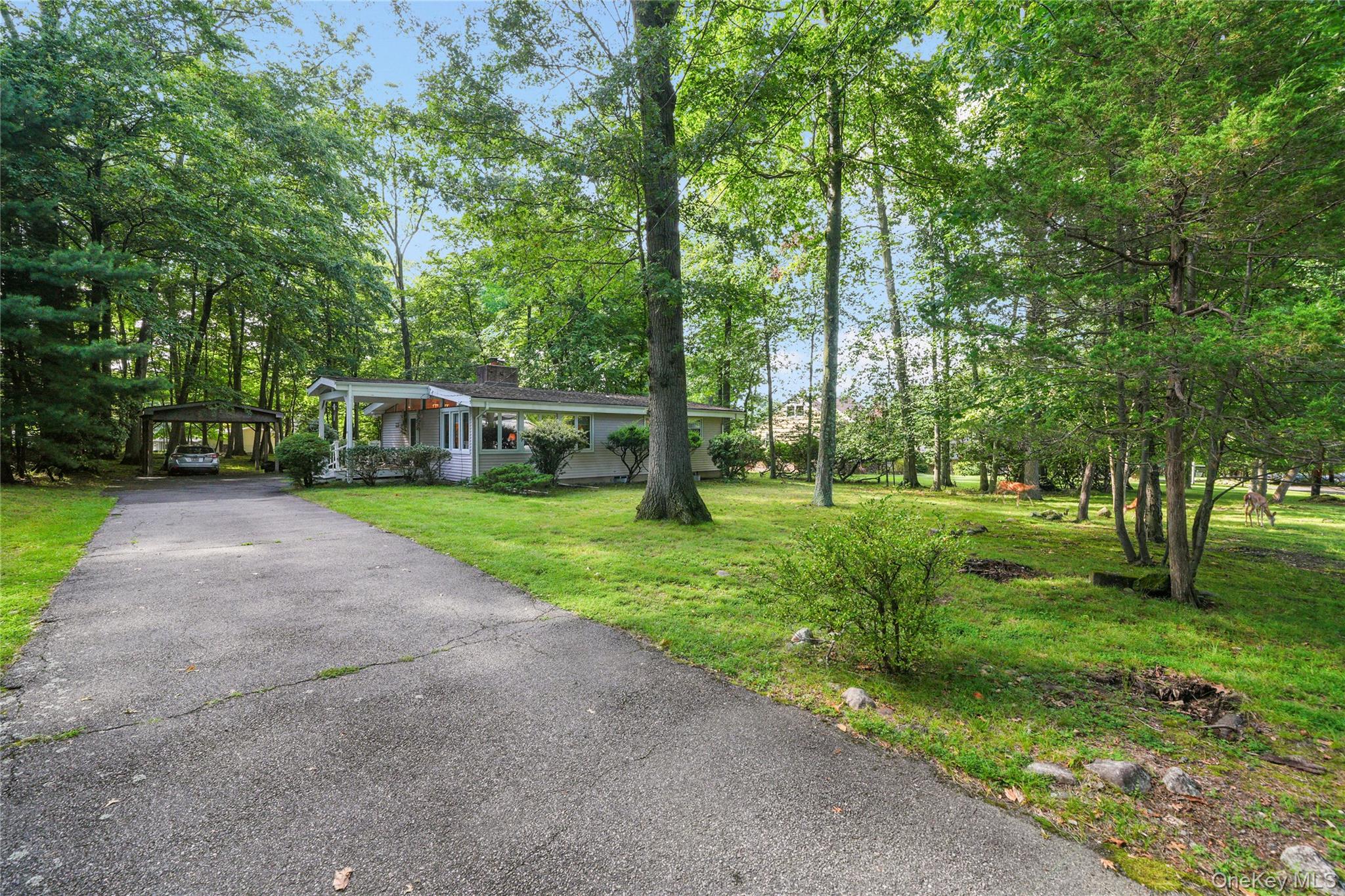 29 Fay Road – For Sale photo 34