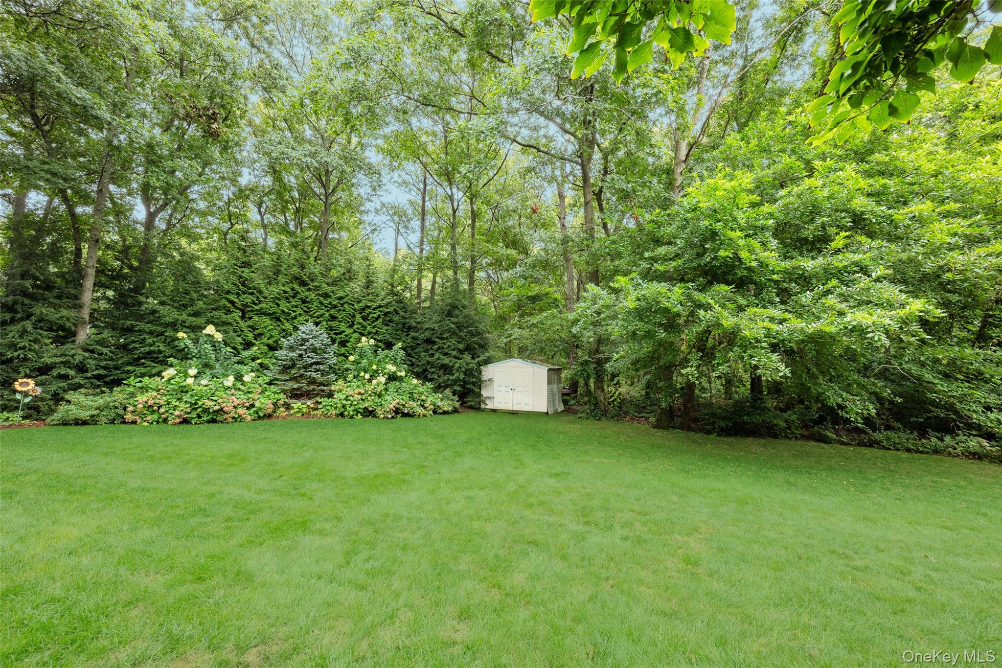 116 Head Of The Neck Road – For Sale photo 37