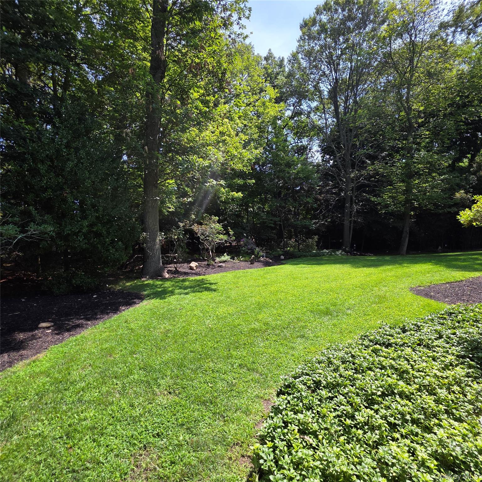 9 Cliff Road – For Rent photo 9
