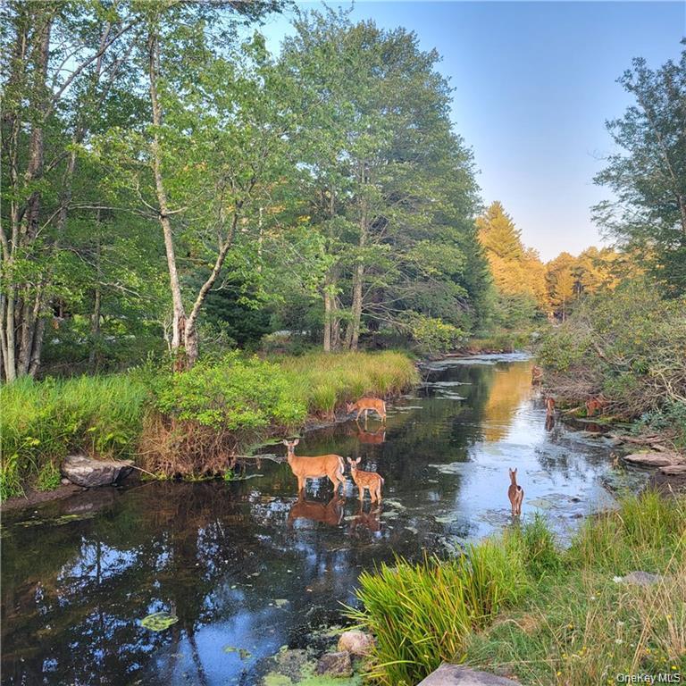 198 Pine Grove Road – For Sale photo 30