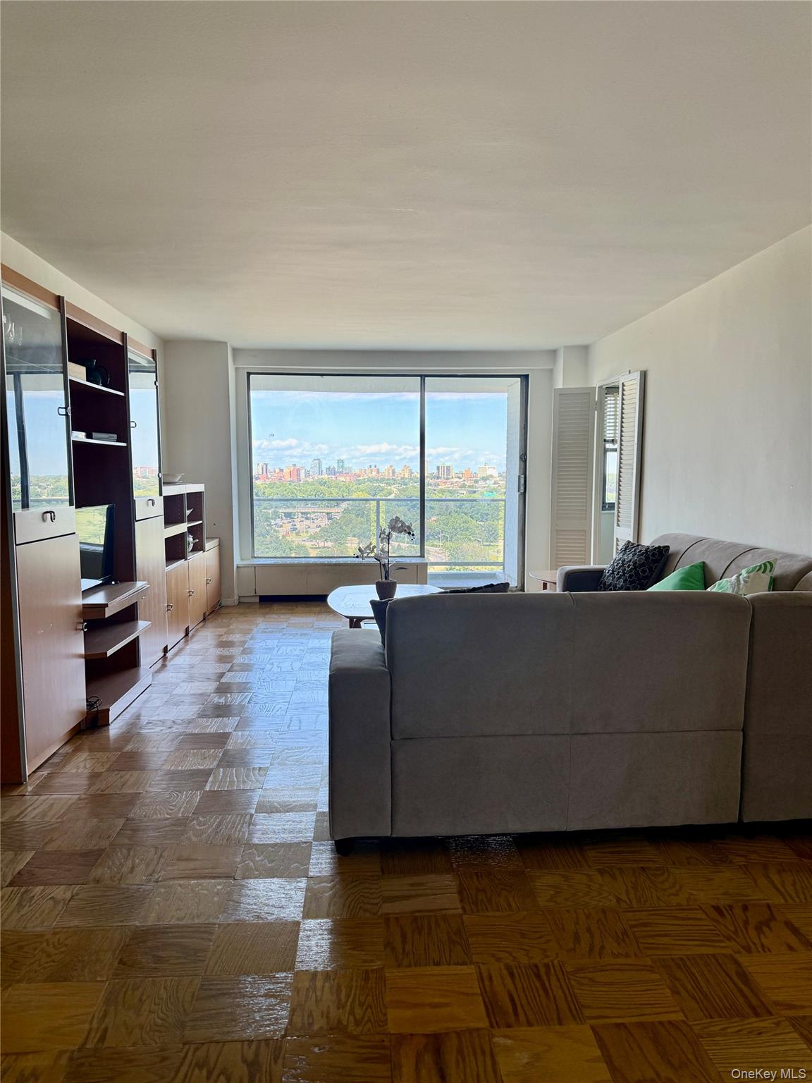 61-20 Grand Central Parkway, Unit A 1205 photo 10