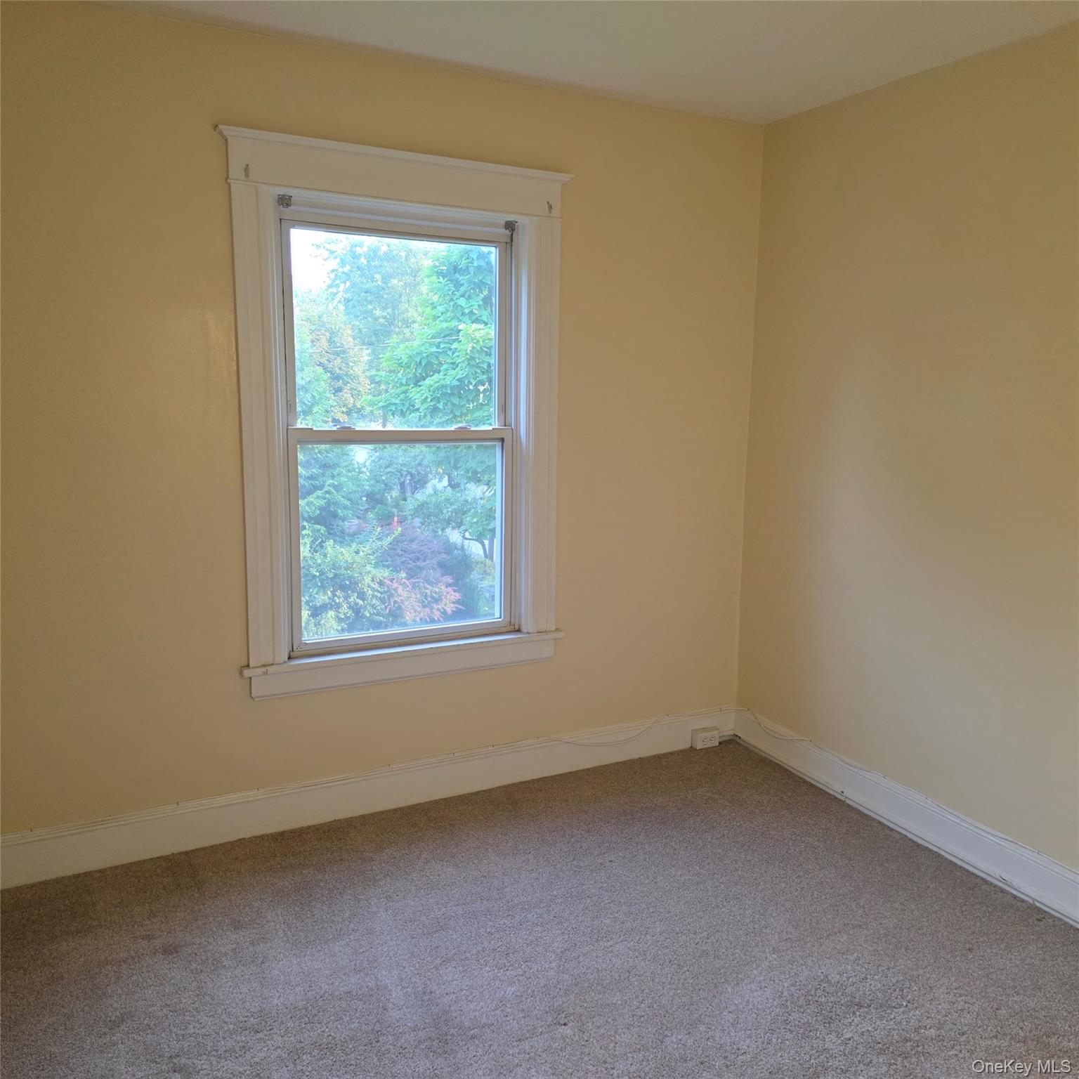 35 Manitou Avenue, Unit 2 photo 6
