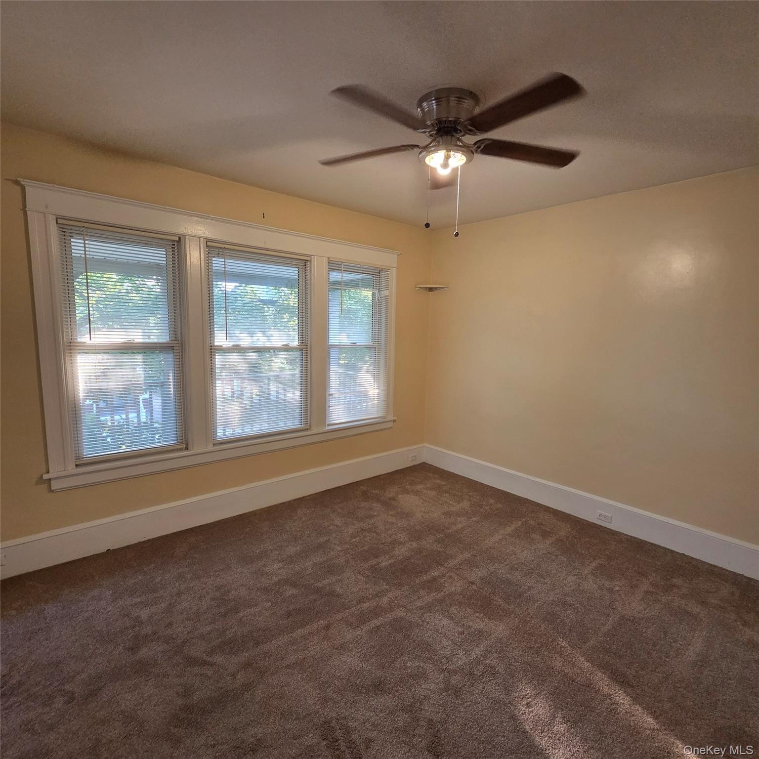 35 Manitou Avenue, Unit 2 photo 11