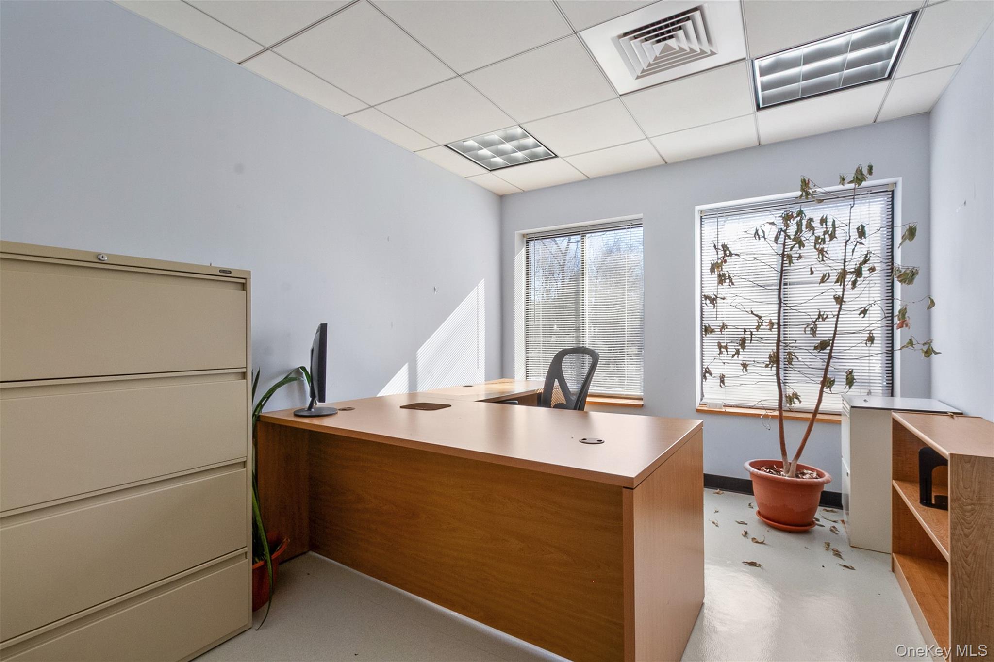 23 Snowden Avenue, Unit Unit C