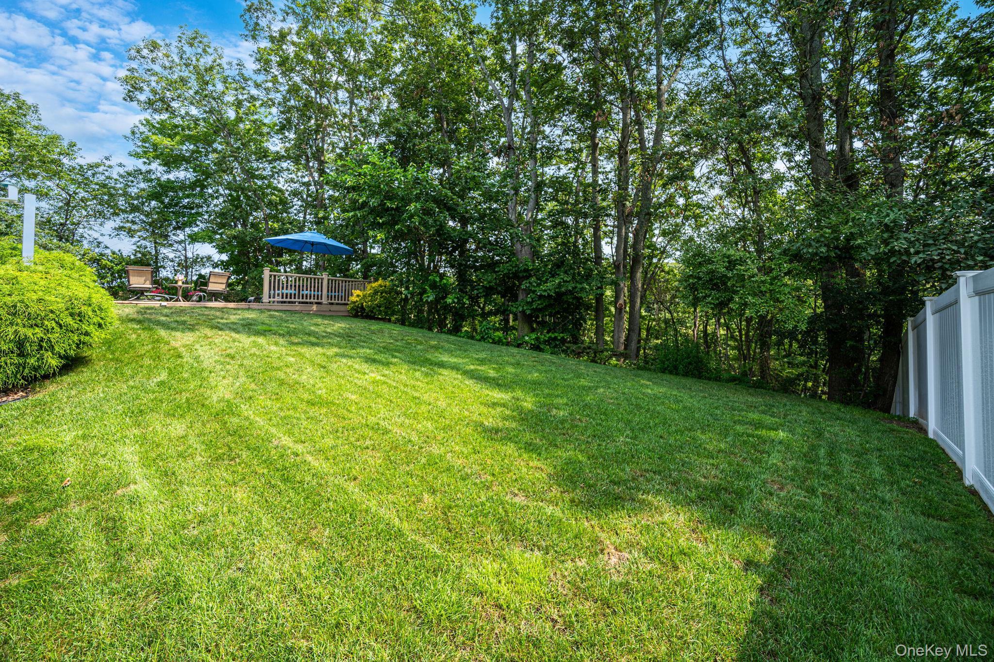 45 Hillcrest Avenue – For Sale photo 32